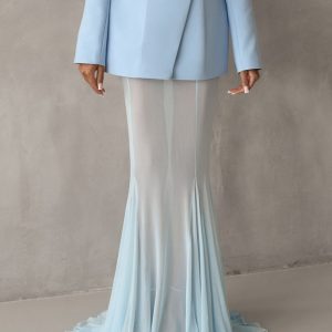 Mesh Sheer Elegant Maxi Dress